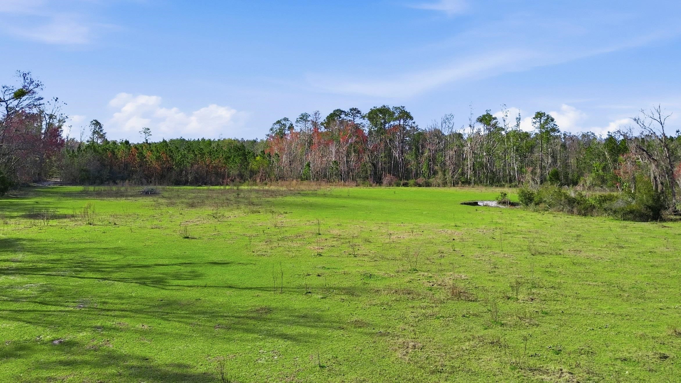 0 South Old Dixie Highway Perry, FL 32347 - Photo 18 of 28