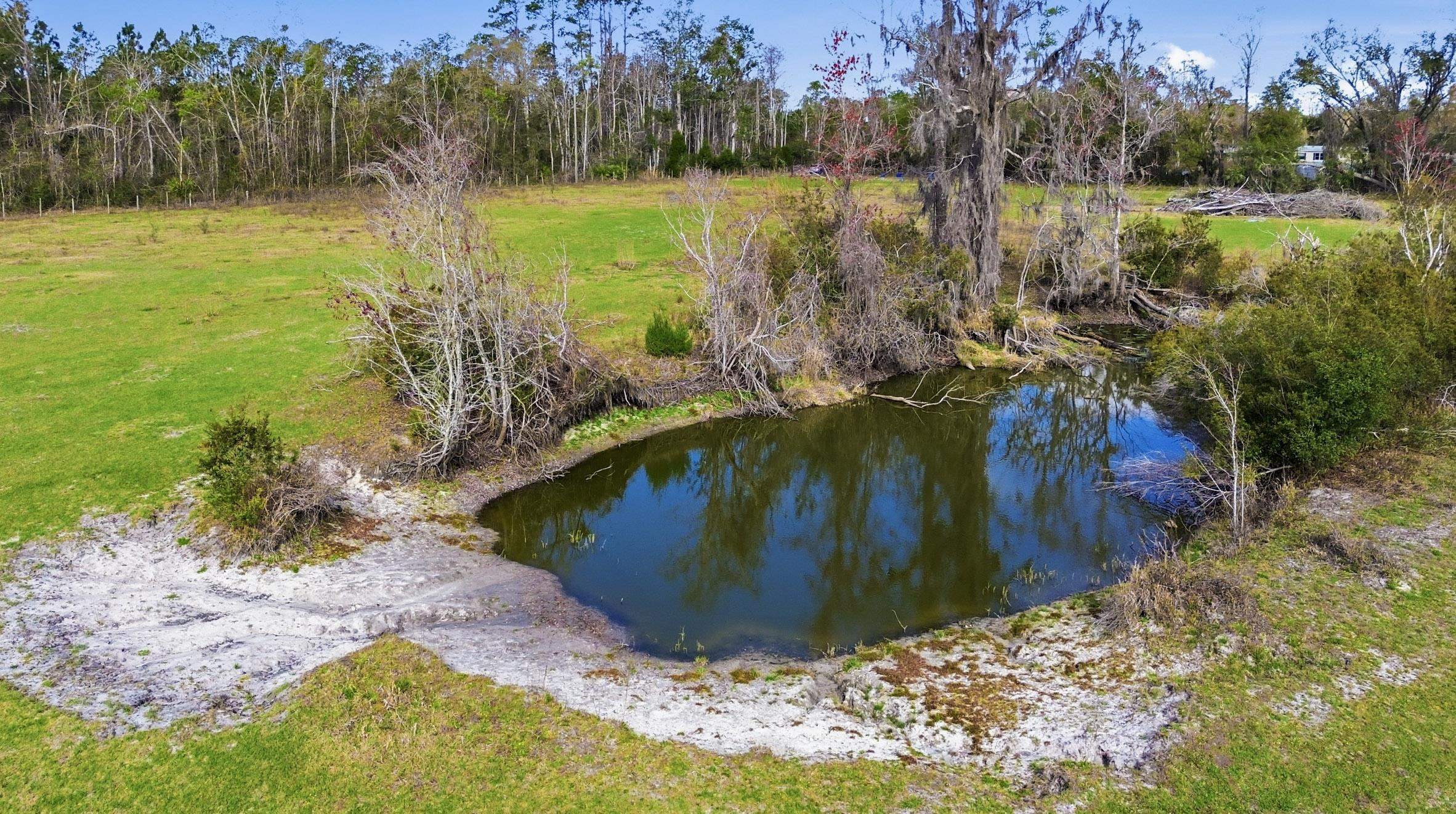 0 South Old Dixie Highway Perry, FL 32347 - Photo 9 of 28