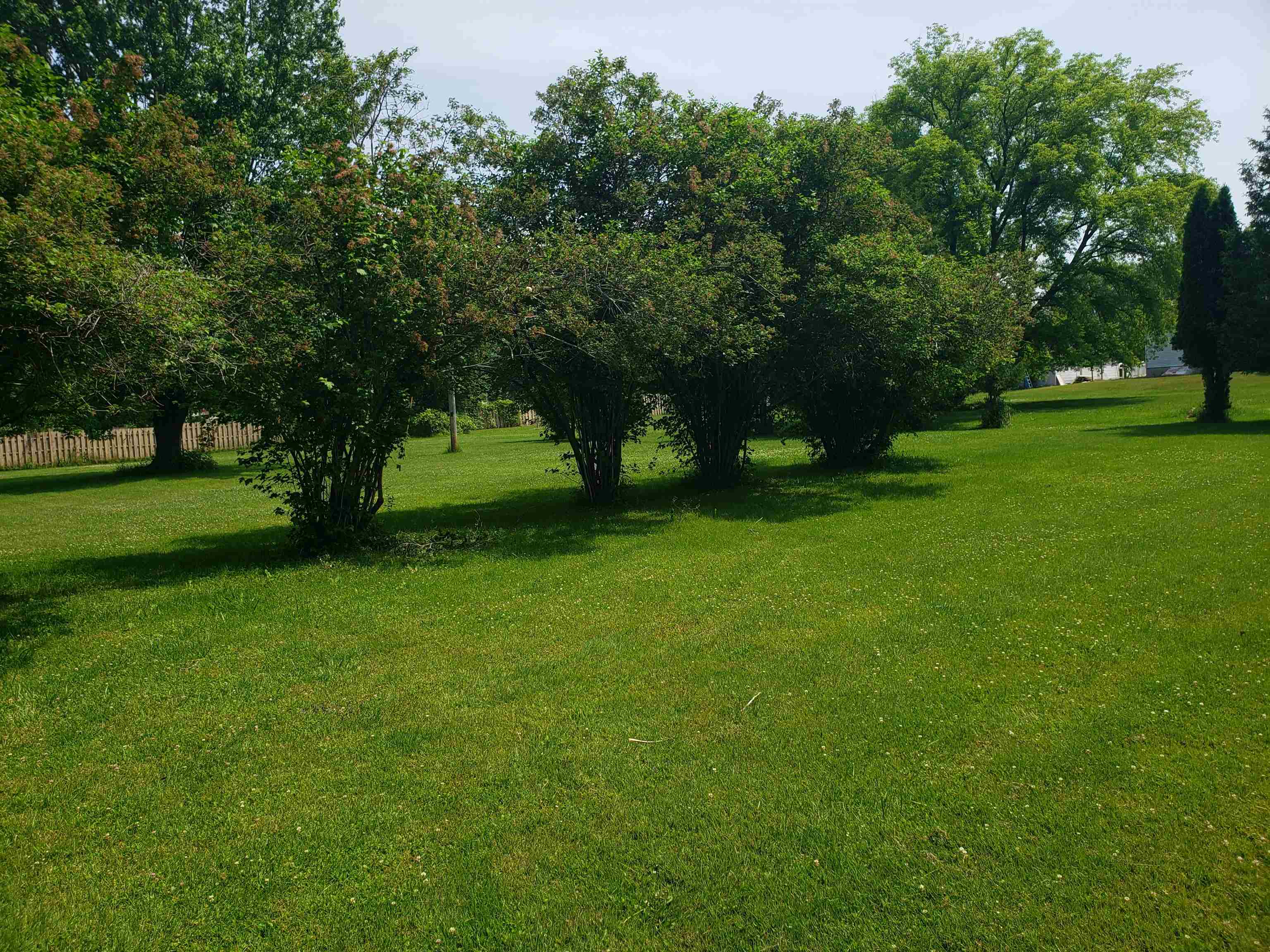 0 East Neuman Road Pinconning, MI 48650 - Photo 5 of 18