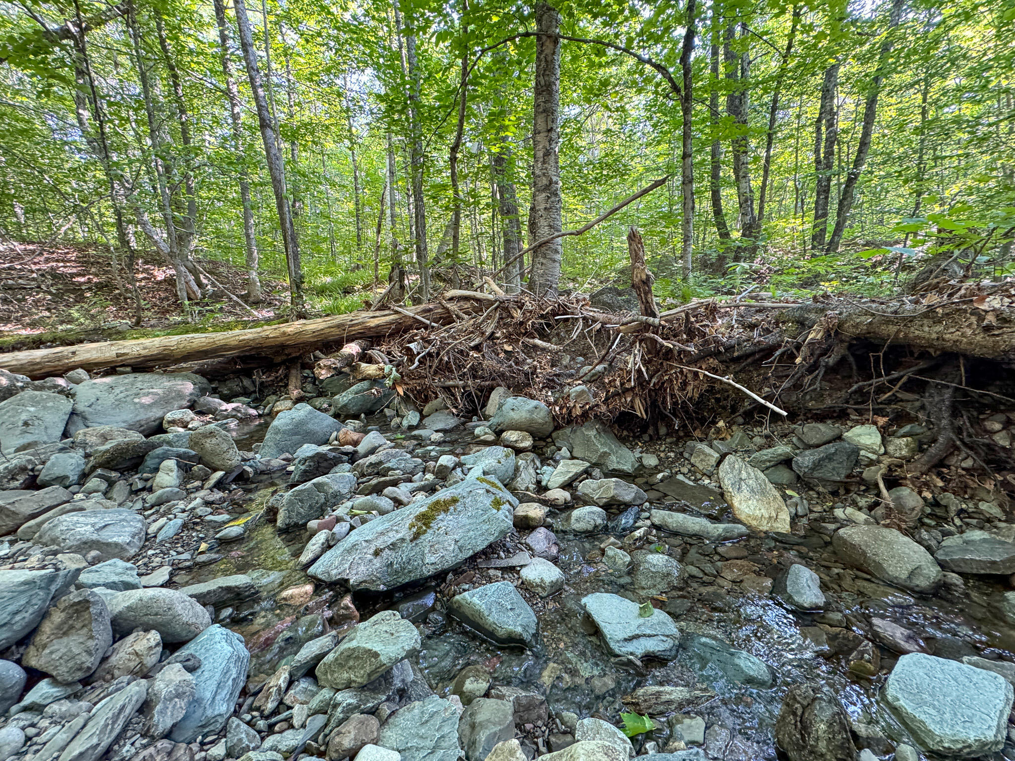M8-l4 Mountain Road Mount Chase, ME 04765 - Photo 15 of 35 15