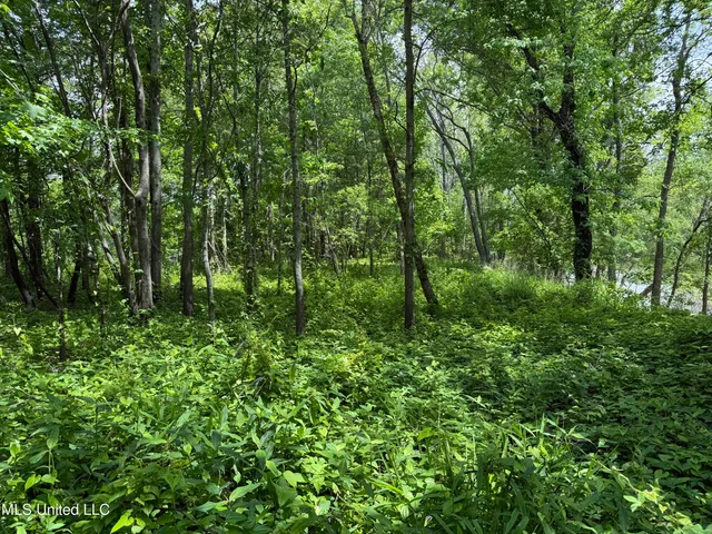 $700,000 | 550 County Road, Minter City, MS 38944