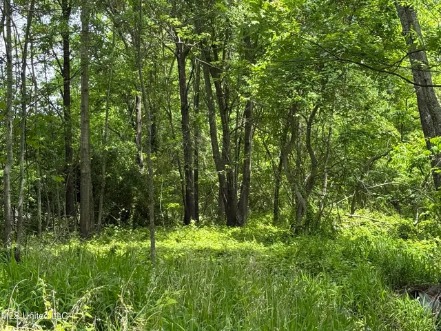 $700,000 | 550 County Road, Minter City, MS 38944