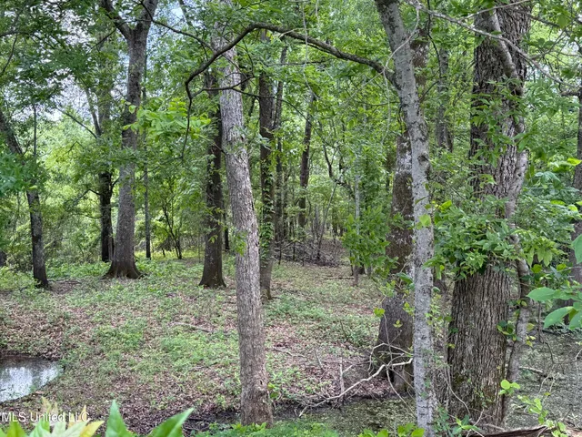 $700,000 | 550 County Road, Minter City, MS 38944