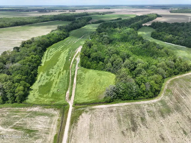 $700,000 | 550 County Road, Minter City, MS 38944