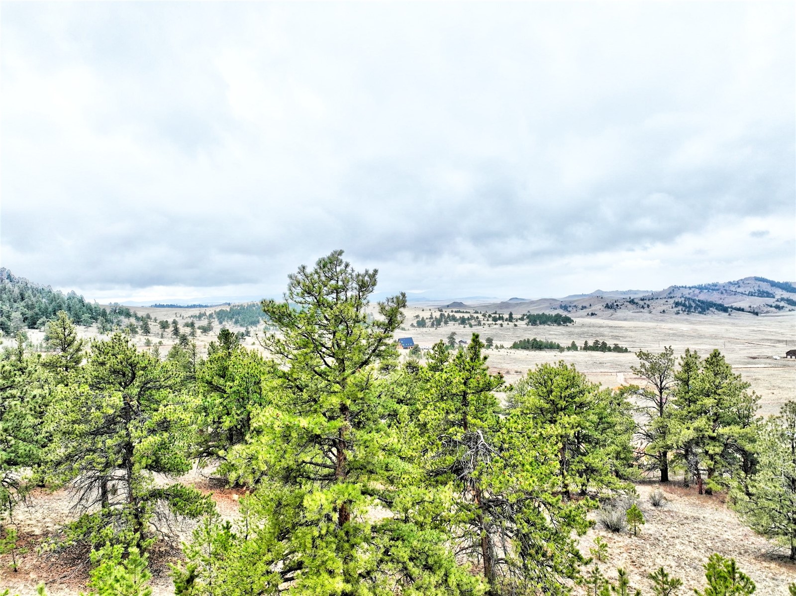 831 Cohonina Road Hartsel, CO 80449 - Photo 1 of 16 Gallery Image 1