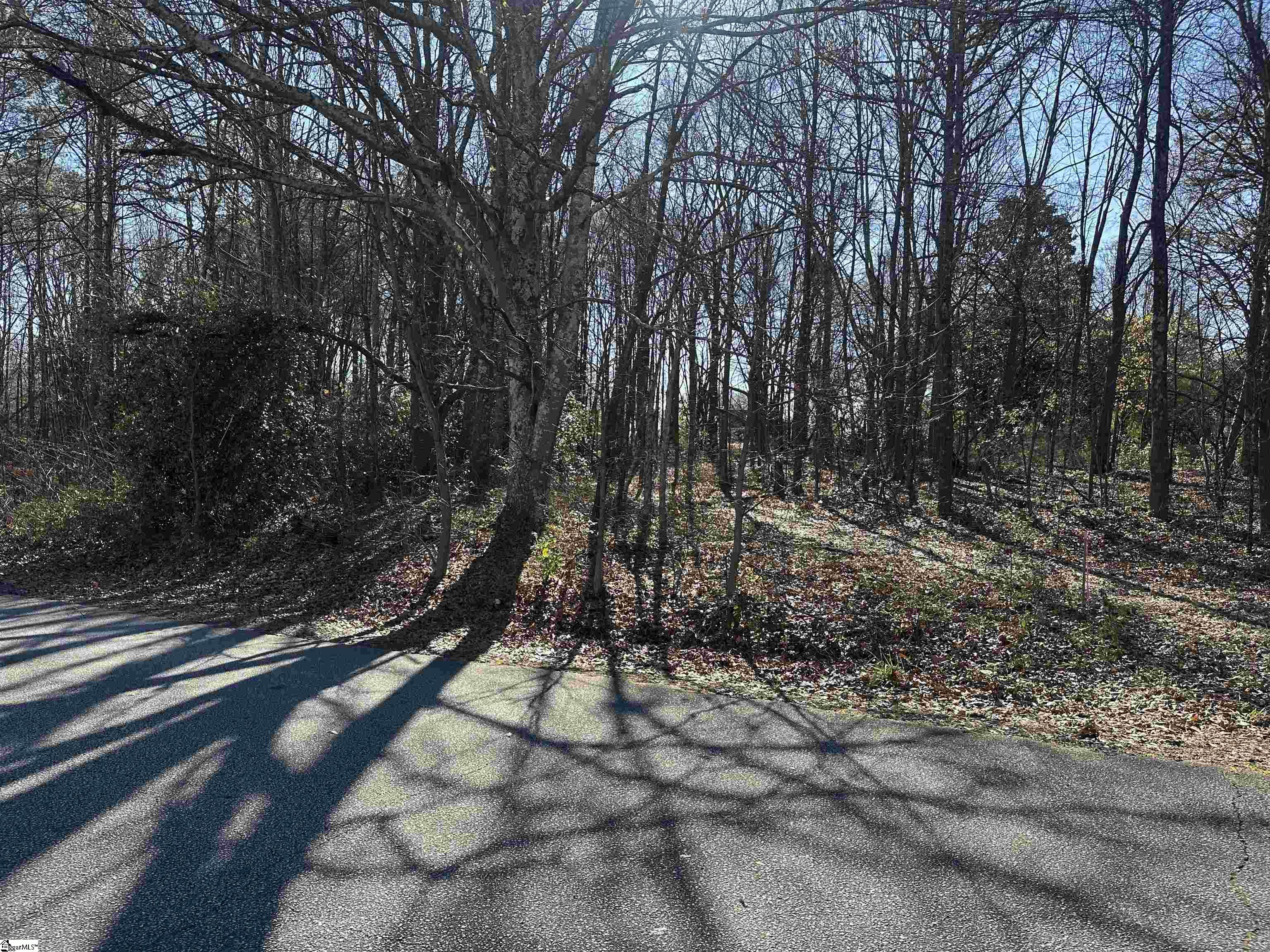 116 Berry Drive Greenville, SC 29607 - Photo 3 of 10