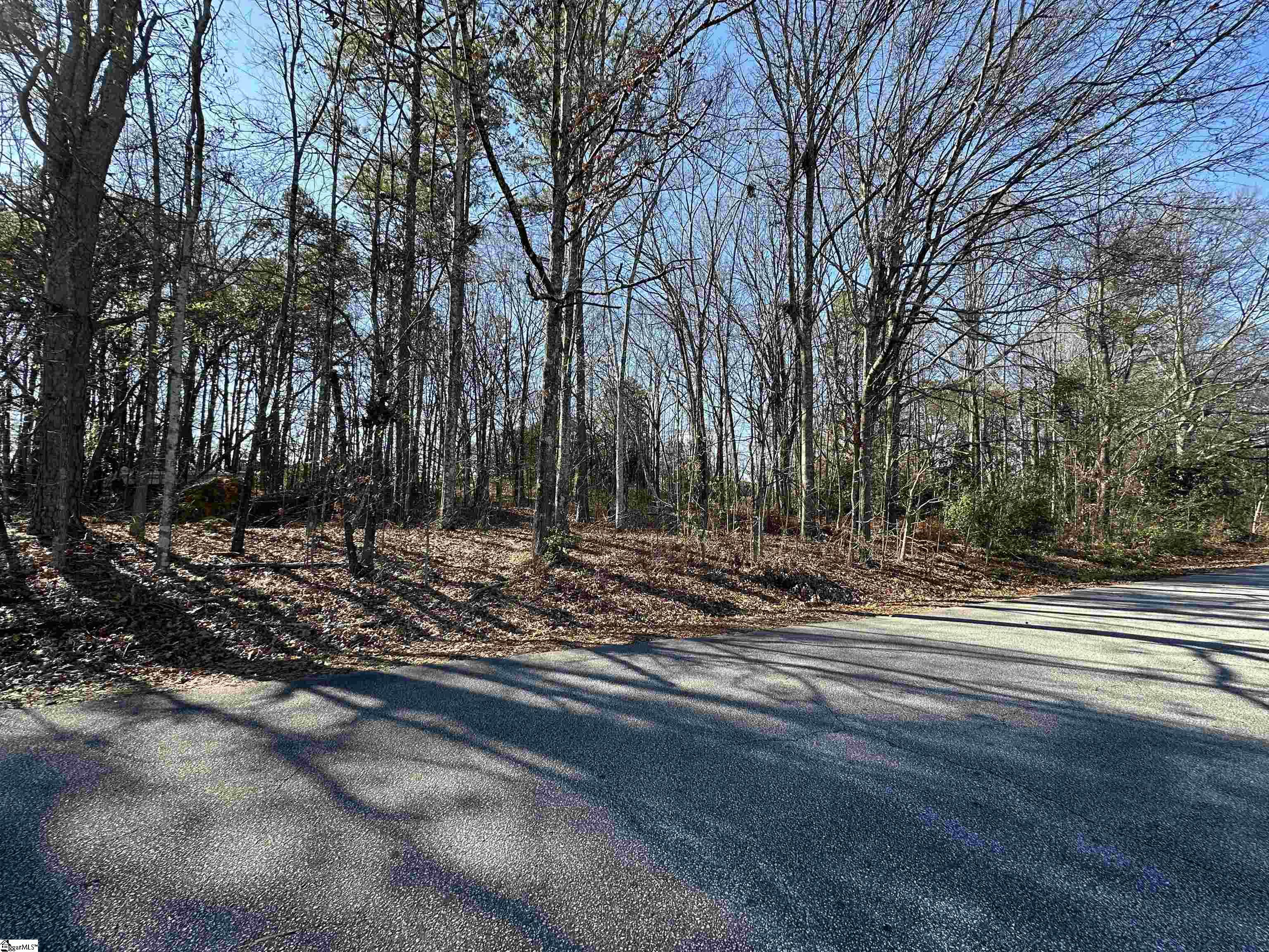 116 Berry Drive Greenville, SC 29607 - Photo 5 of 10
