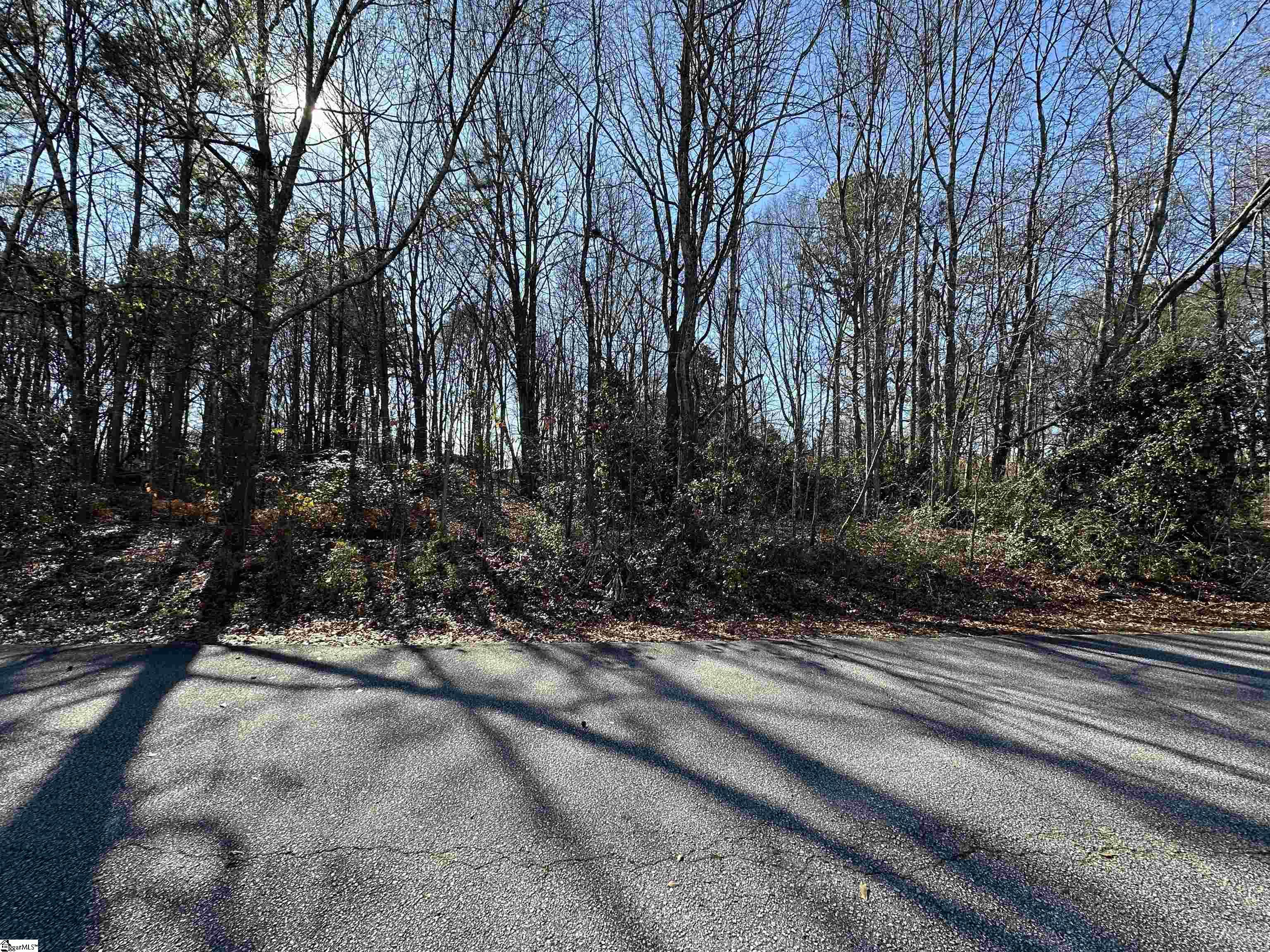 116 Berry Drive Greenville, SC 29607 - Photo 6 of 10