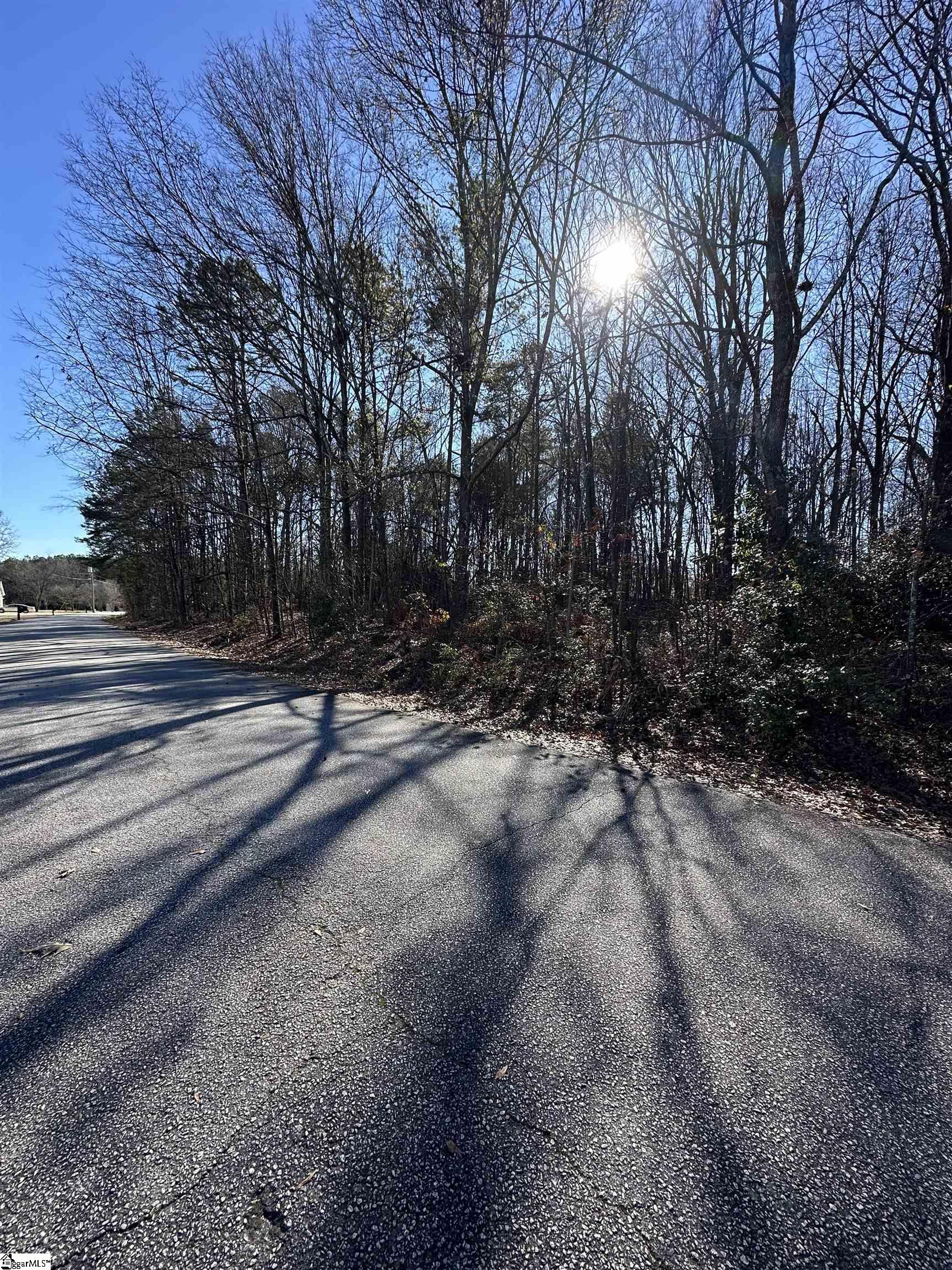 116 Berry Drive Greenville, SC 29607 - Photo 7 of 10