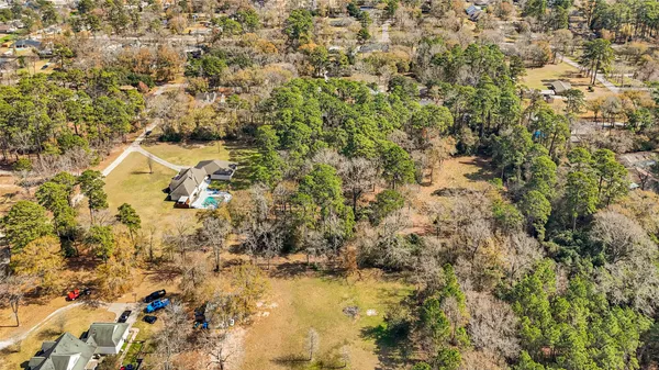 a close up of a plant in a yard