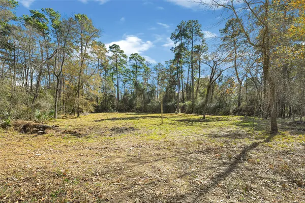 a view of a yard with plants and trees