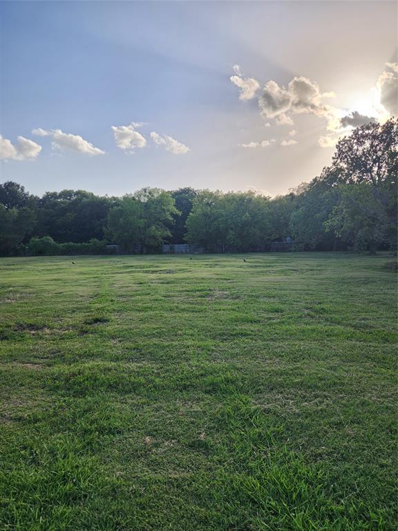 7913 Wayne Way Rowlett, TX 75088 - Photo 1 of 5 View of grassy yard with a wooded view and a view of countryside