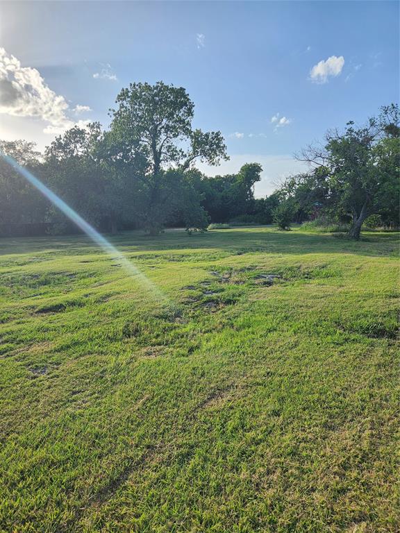 7913 Wayne Way Rowlett, TX 75088 - Photo 3 of 5 View of yard