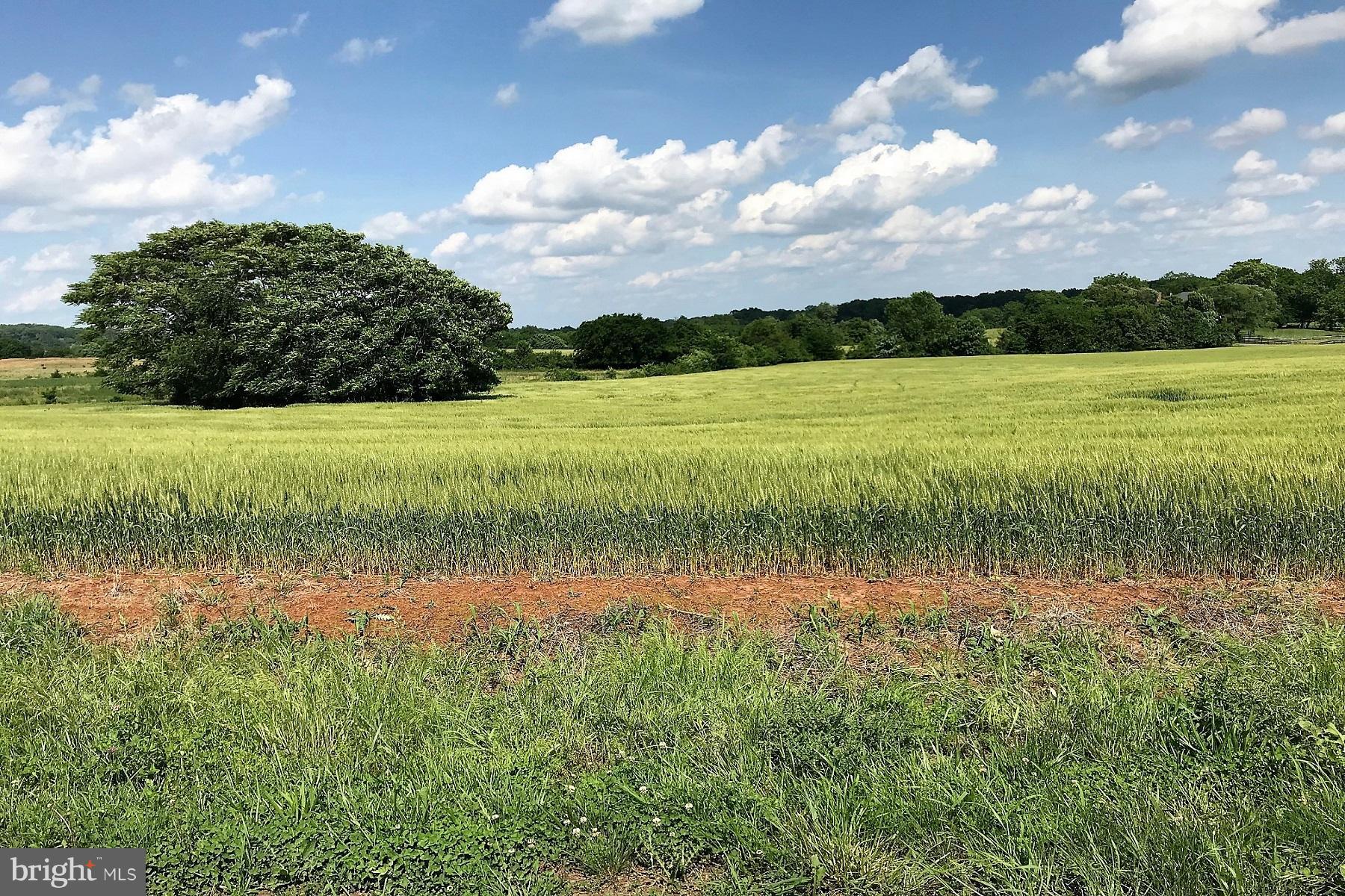 1 Kettle Club Road Culpeper, VA 22701 - Photo 1 of 4 Mostly open crop and pasture. Some woods.
