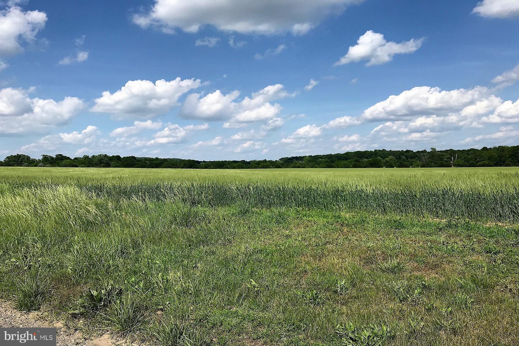 1 Kettle Club Road Culpeper, VA 22701 - Photo 4 of 4 Mostly open crop and pasture. Some woods