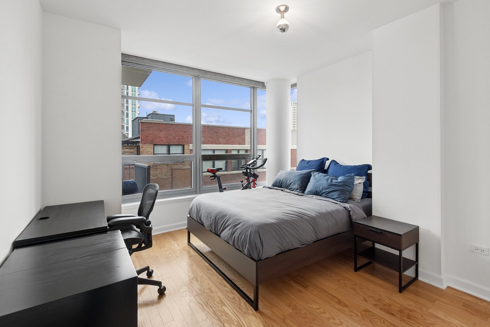 1600 South Prairie Avenue, Unit 705 Chicago, IL 60616 - Photo 9 of 19