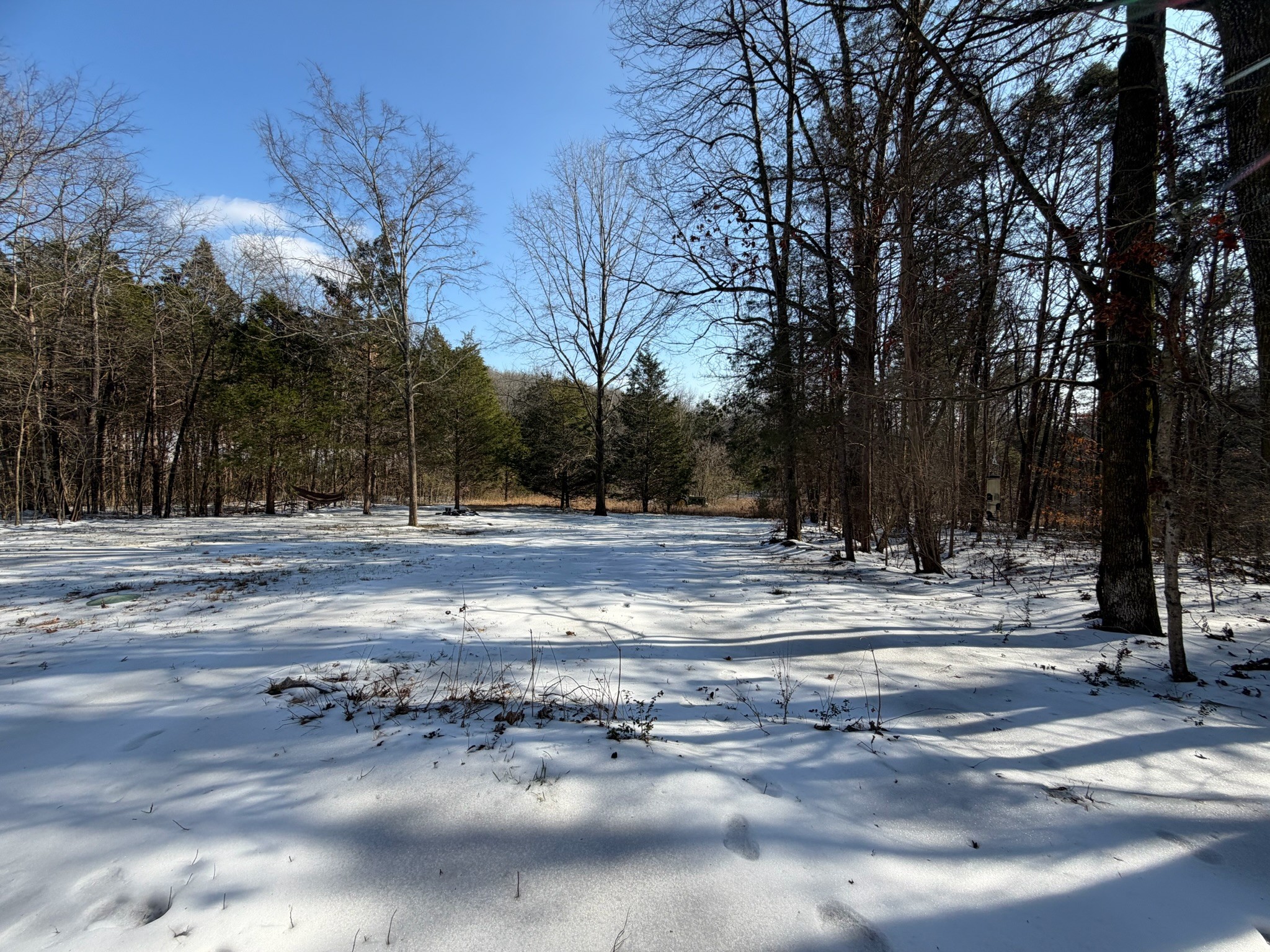 775 Slim Island Road Bowling Green, KY 42101 - Photo 15 of 17 a view of road with trees