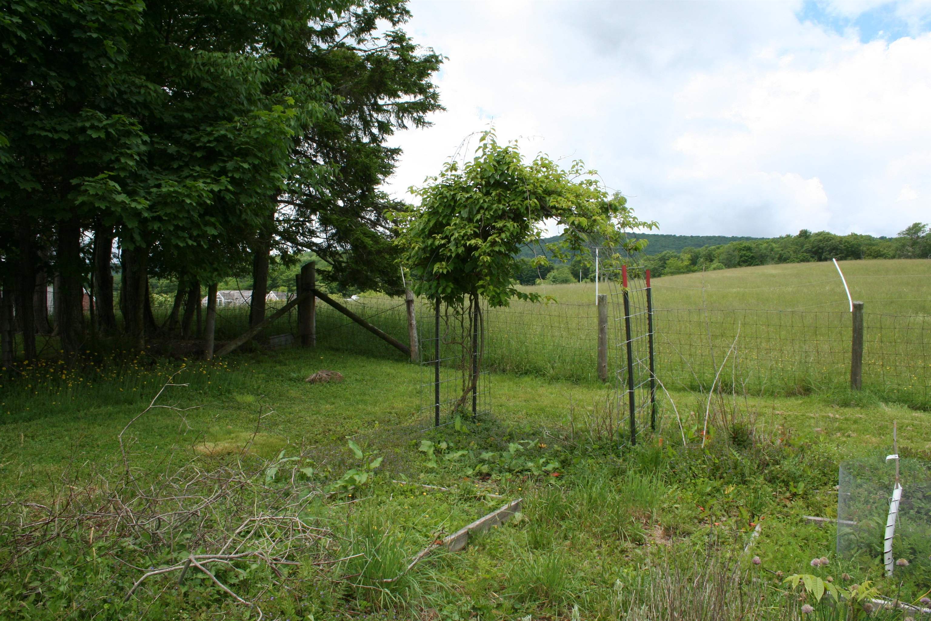 215 Potomac River Road Monterey, VA 24465 - Photo 40 of 43 a view of a garden