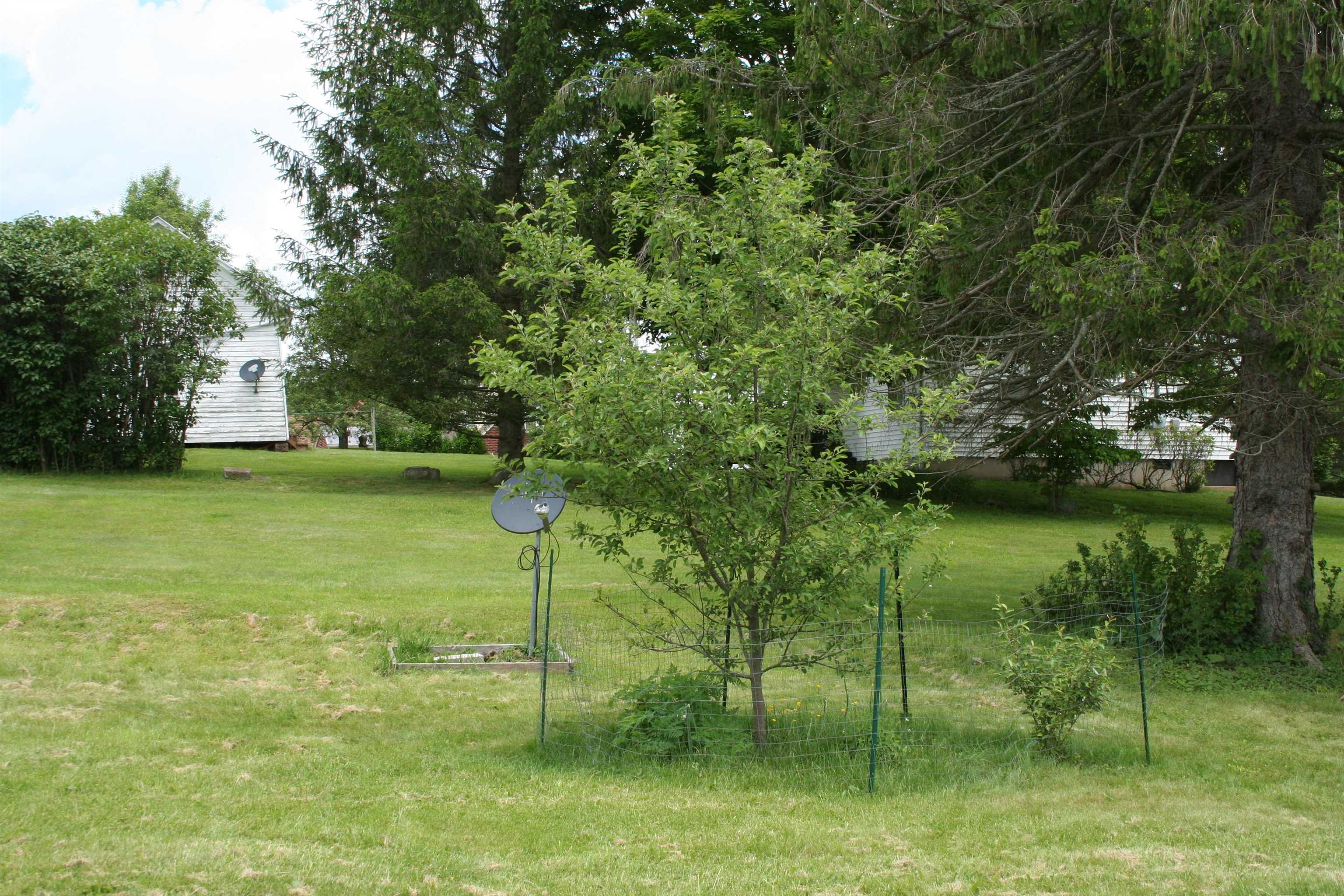 215 Potomac River Road Monterey, VA 24465 - Photo 41 of 43 a view of a garden