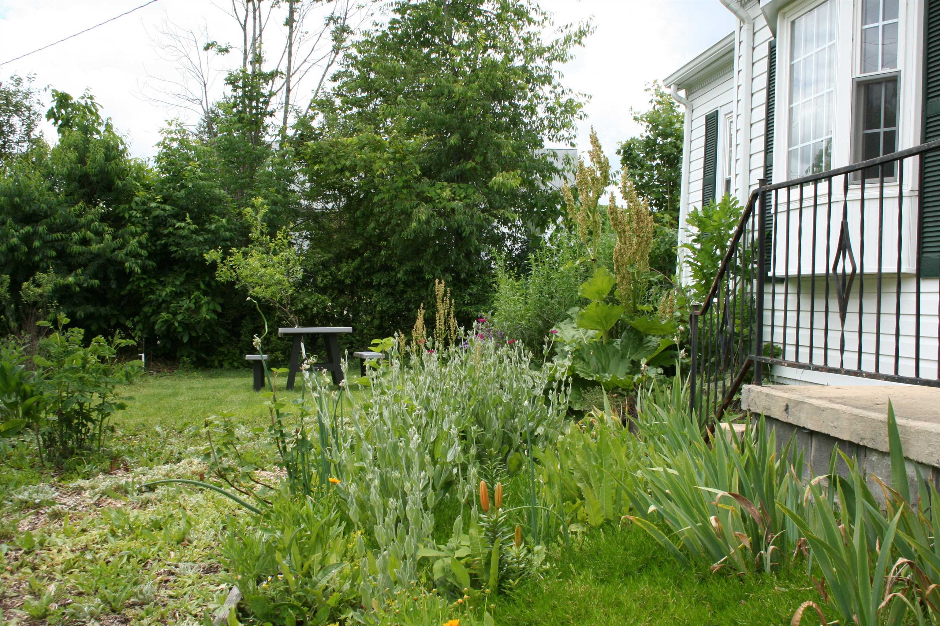 215 Potomac River Road Monterey, VA 24465 - Photo 42 of 43 a backyard of a house with plants and large trees