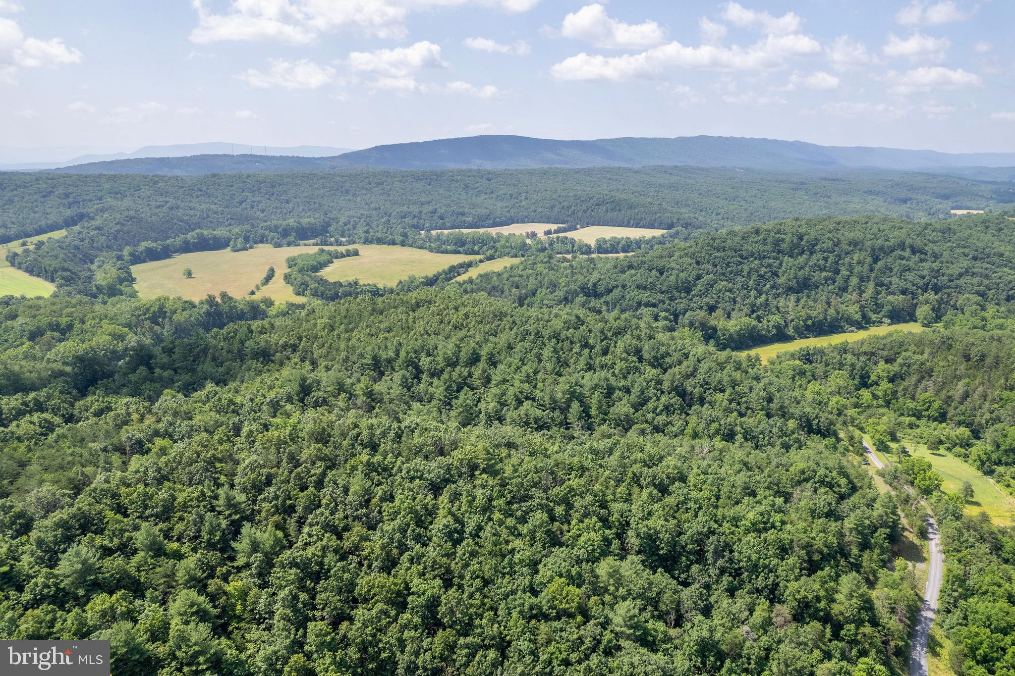 Lot 9 Star Tannery Road Star Tannery, VA 22654 - Photo 4 of 10 Drone's eye view of area