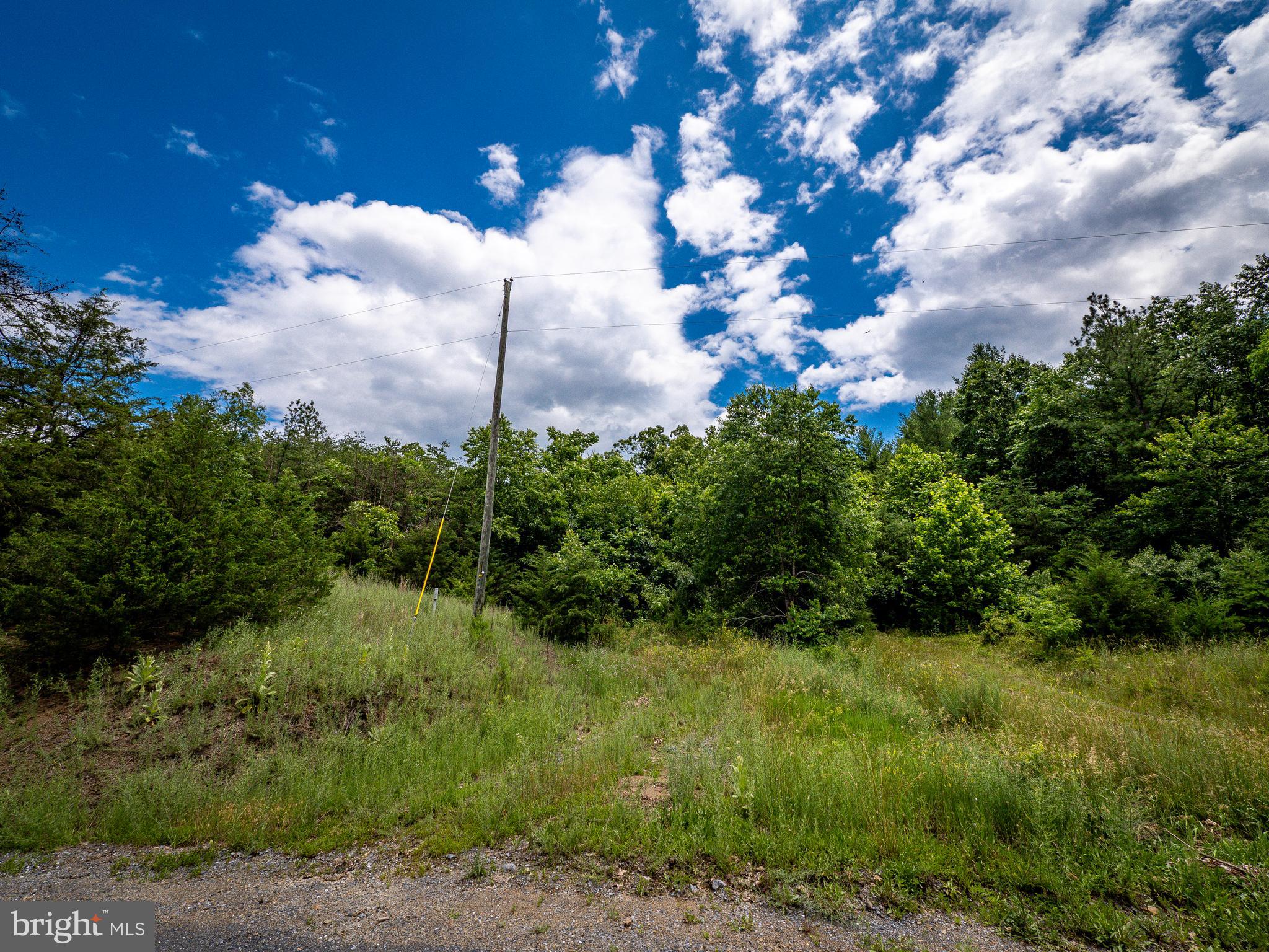 Lot 9 Star Tannery Road Star Tannery, VA 22654 - Photo 6 of 10 Old access road
