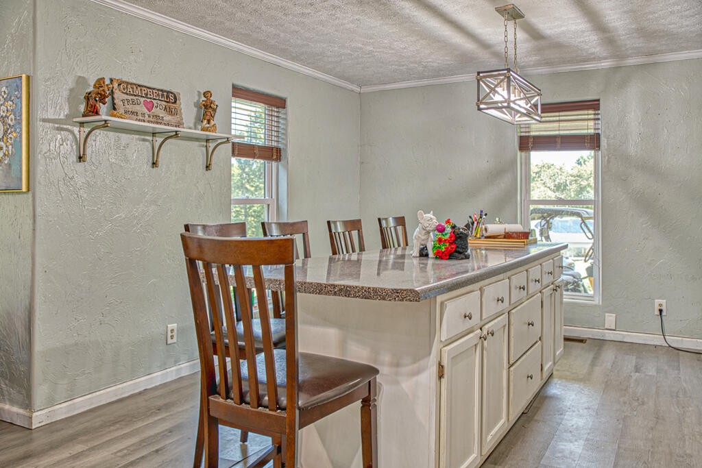 424 Wilderness Trail Road Granville, TN 38564 - Photo 7 of 32 Gallery Image 7