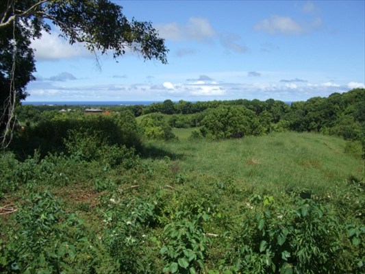90 B Kanepoonui Road Kapaa, HI 96746 - Photo 1 of 15 a view of a field with a tree
