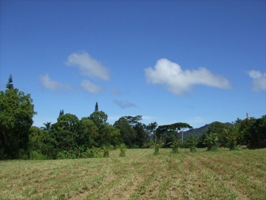 90 B Kanepoonui Road Kapaa, HI 96746 - Photo 11 of 15 a view of a field with trees in background