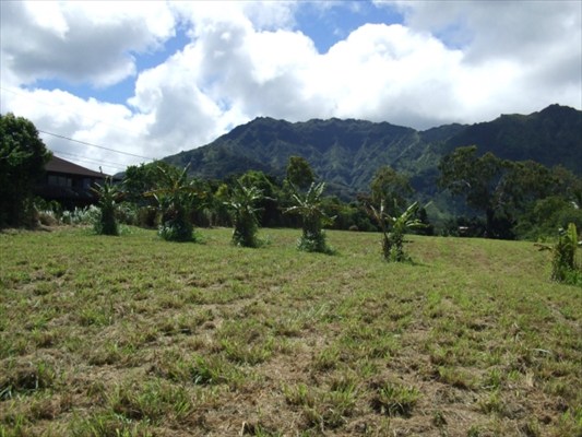 90 B Kanepoonui Road Kapaa, HI 96746 - Photo 12 of 15 a view of a lush green field