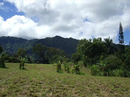 90 B Kanepoonui Road Kapaa, HI 96746 - Photo 14 of 15 a view of a yard