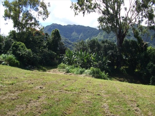 90 B Kanepoonui Road Kapaa, HI 96746 - Photo 15 of 15 a view of outdoor space and yard