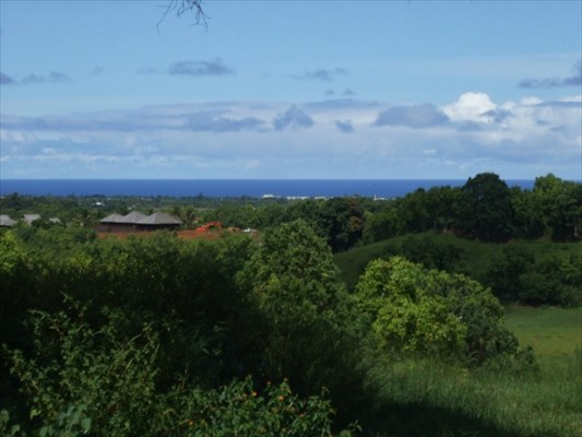 90 B Kanepoonui Road Kapaa, HI 96746 - Photo 2 of 15 a view of a city and mountains in the background
