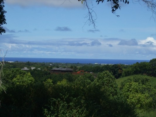 90 B Kanepoonui Road Kapaa, HI 96746 - Photo 3 of 15 a view of a bunch of trees and bushes