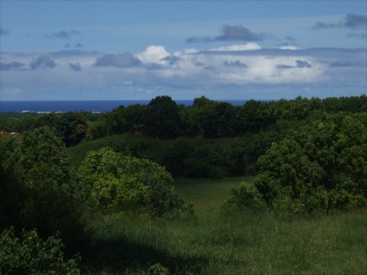 90 B Kanepoonui Road Kapaa, HI 96746 - Photo 4 of 15 a view of a pathway both side of grassy field with shrub