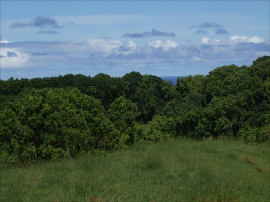 90 B Kanepoonui Road Kapaa, HI 96746 - Photo 5 of 15 a view of a bunch of trees in a field
