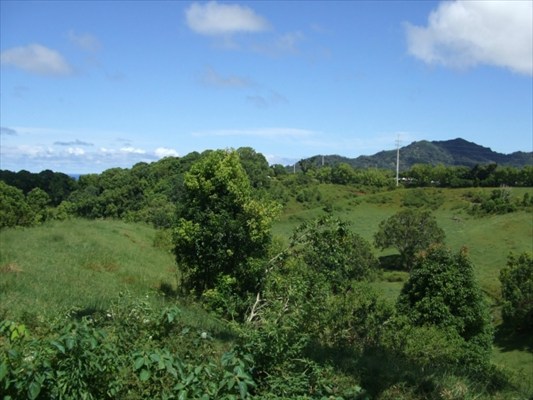 90 B Kanepoonui Road Kapaa, HI 96746 - Photo 6 of 15 a view of a lush green outdoor space with a lake view