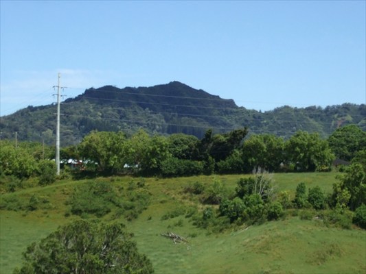 90 B Kanepoonui Road Kapaa, HI 96746 - Photo 7 of 15 a view of a lush green field with a tree in the background