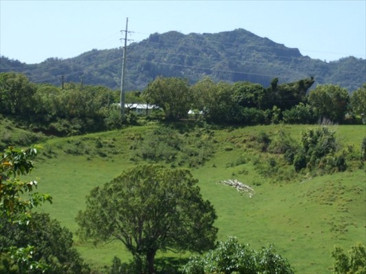 90 B Kanepoonui Road Kapaa, HI 96746 - Photo 8 of 15 a view of a lush green hillside and a building