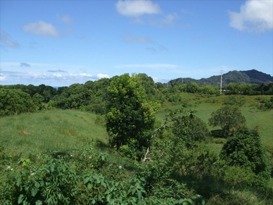 90 B Kanepoonui Road Kapaa, HI 96746 - Photo 9 of 15 a view of a lush green outdoor space with a lake view