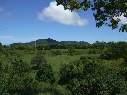 90 B Kanepoonui Road Kapaa, HI 96746 - Photo 10 of 15 a view of a green field with lots of bushes