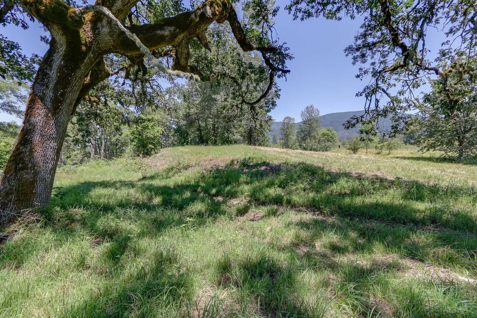 Delight Valley Cottage Grove, OR 97424 - Photo 6 of 27 MLS 6