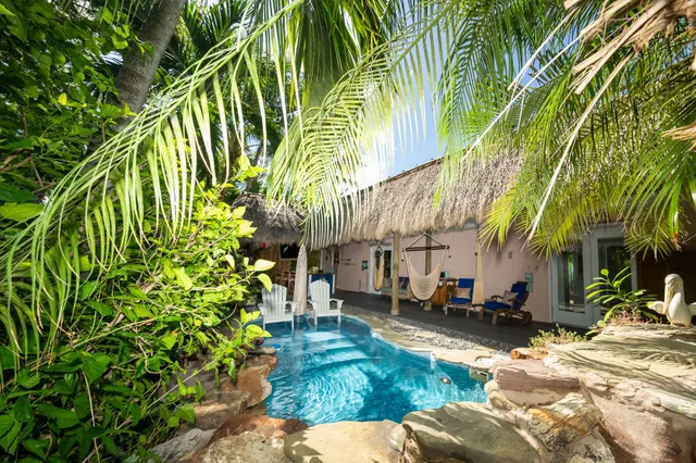 a backyard of a house with lawn chairs plants and palm trees