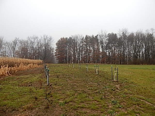 20767 Partello Road Marshall, MI 49068 - Photo 19 of 49 DSCN7746
