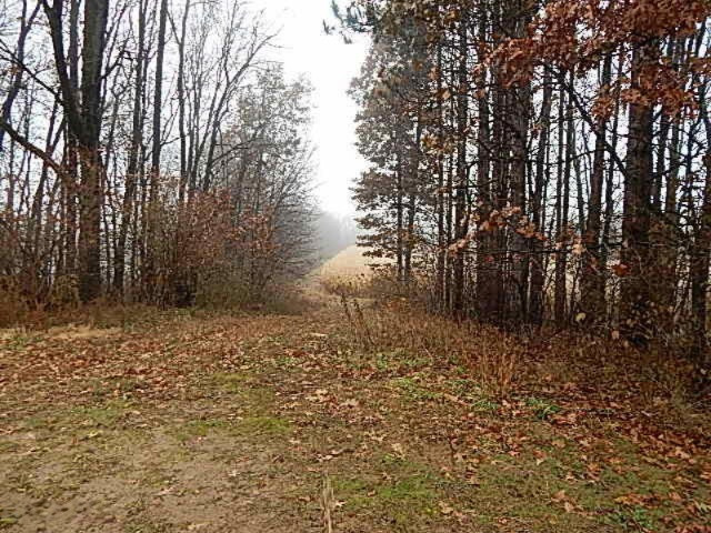 20767 Partello Road Marshall, MI 49068 - Photo 21 of 49 DSCN7747