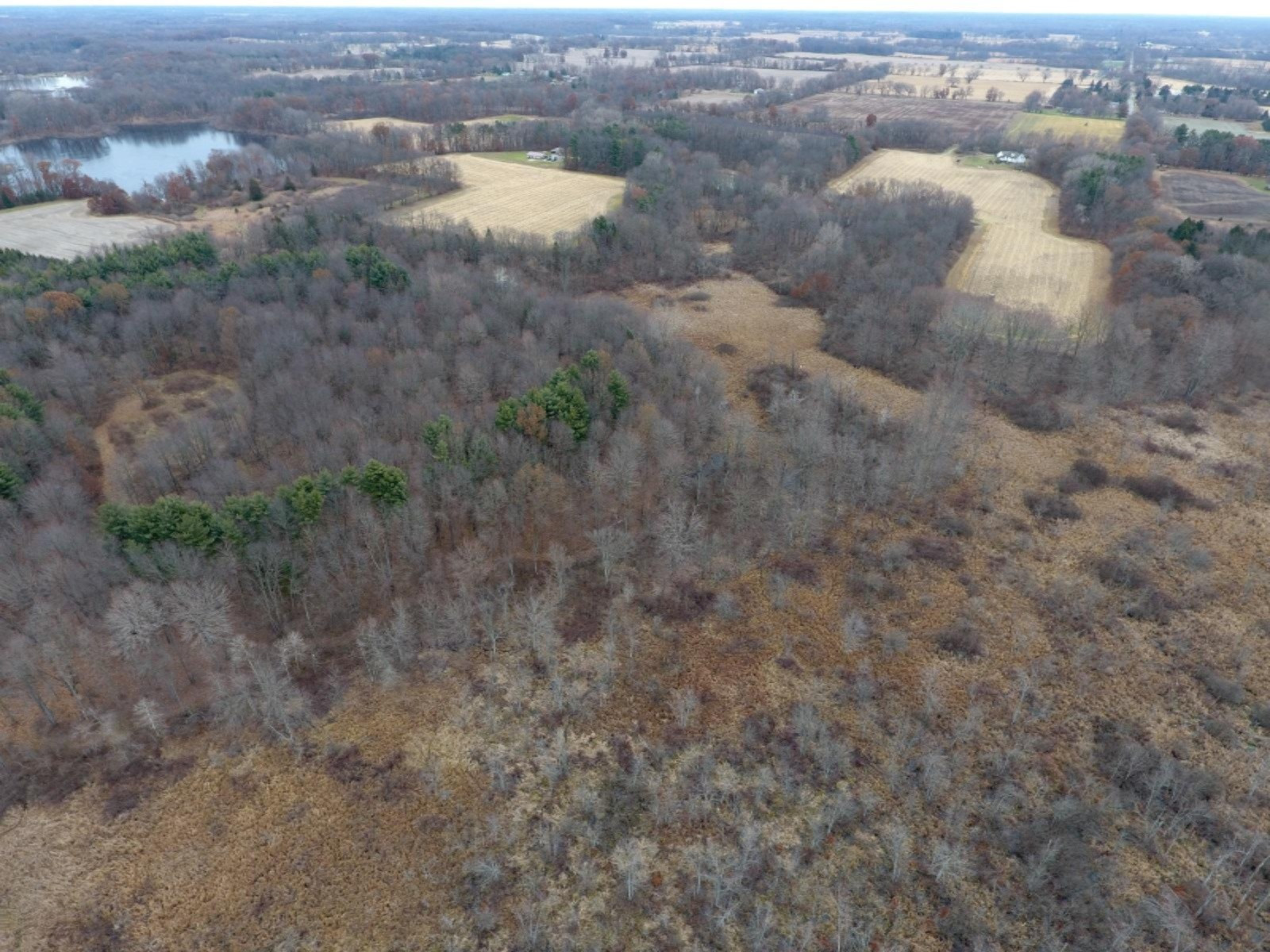 20767 Partello Road Marshall, MI 49068 - Photo 24 of 49 DJI_0010