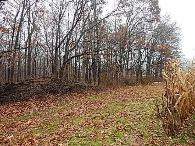 20767 Partello Road Marshall, MI 49068 - Photo 25 of 49 DSCN7751