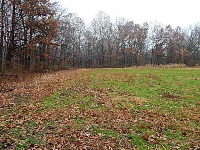20767 Partello Road Marshall, MI 49068 - Photo 27 of 49 DSCN7752