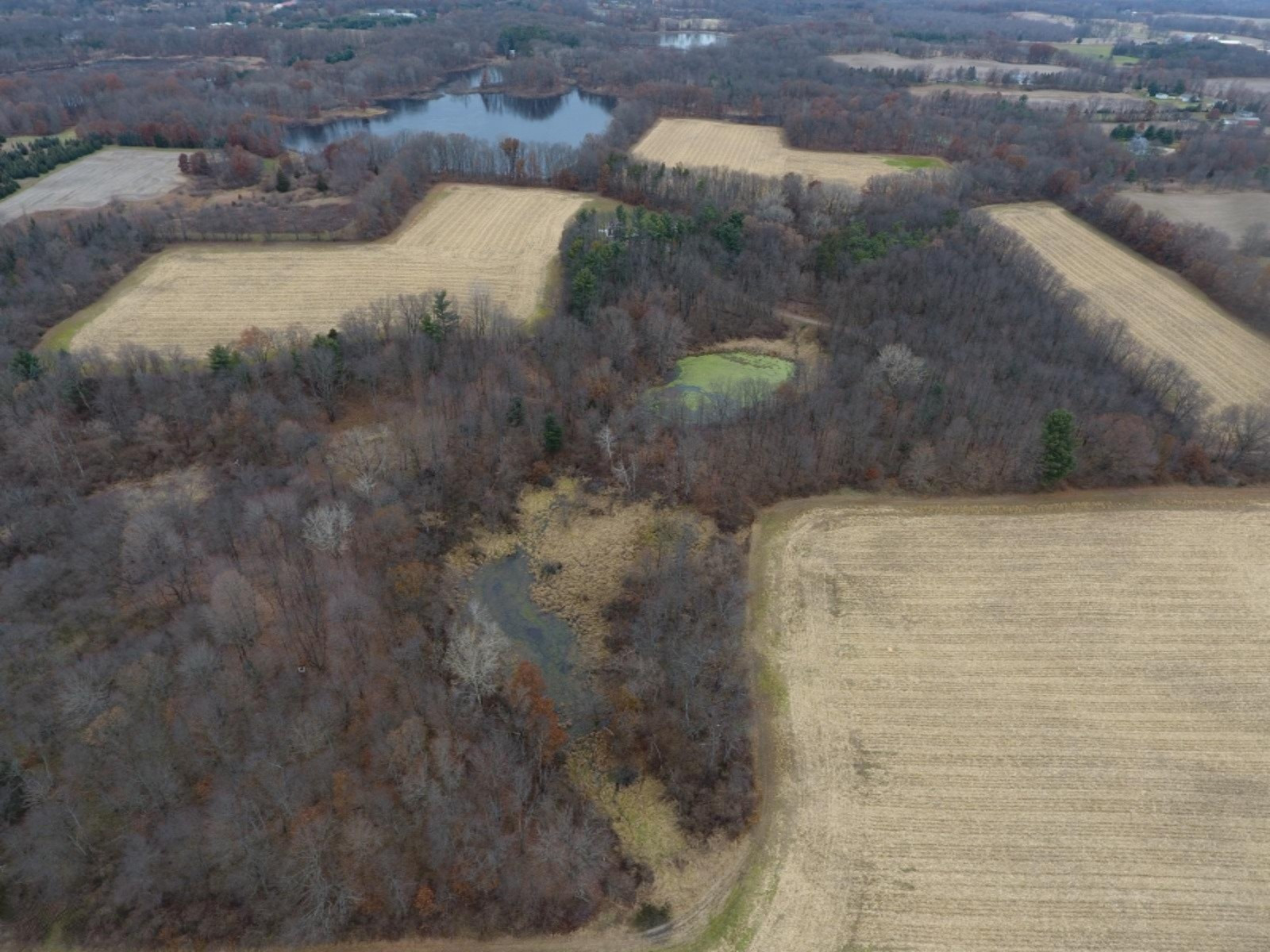 20767 Partello Road Marshall, MI 49068 - Photo 28 of 49 DJI_0012