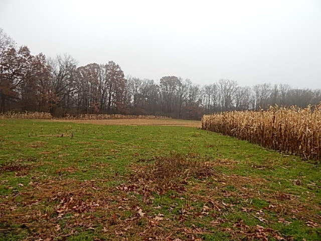 20767 Partello Road Marshall, MI 49068 - Photo 29 of 49 DSCN7753